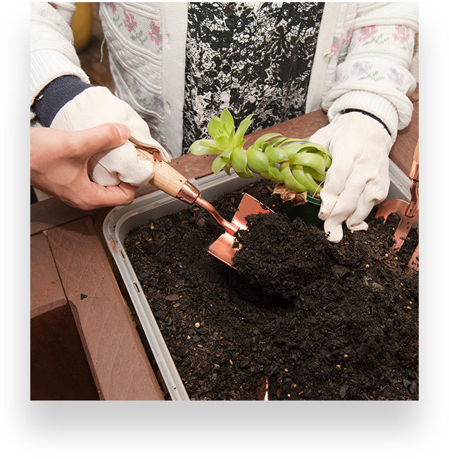 holmwood-activities-gardening