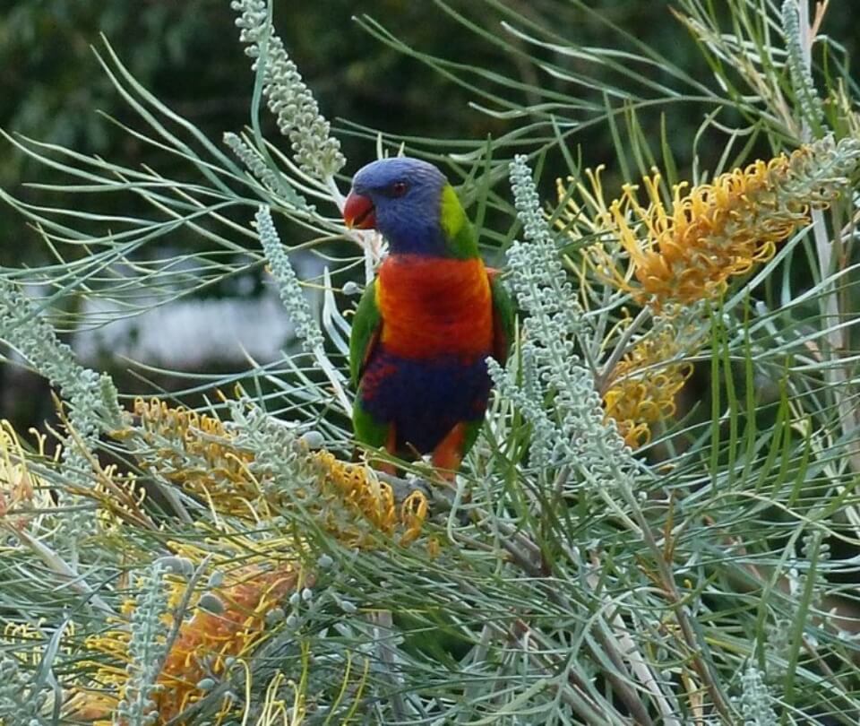 Latest news and resources, Holmwood